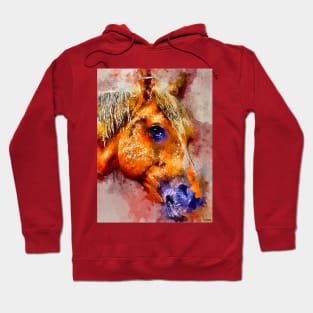 Watercolor Horse Hoodie